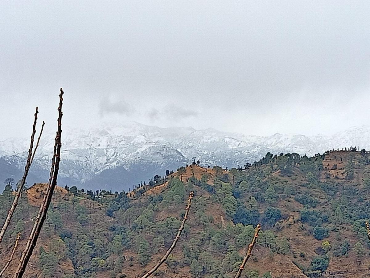 Shiva Valley Resort Kokhliyal Gaon المظهر الخارجي الصورة