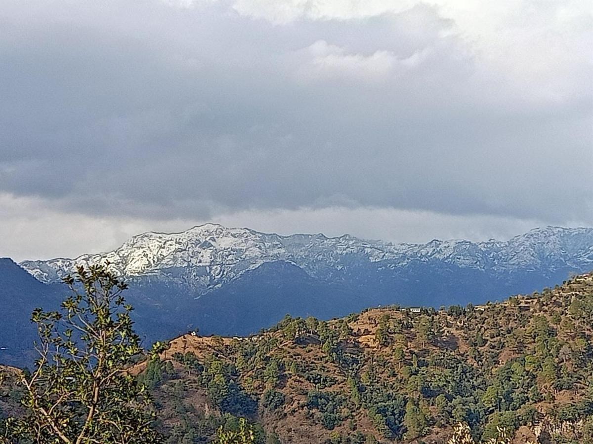 Shiva Valley Resort Kokhliyal Gaon المظهر الخارجي الصورة