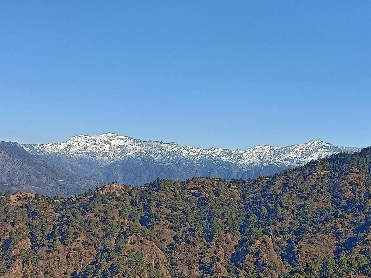 Shiva Valley Resort Kokhliyal Gaon المظهر الخارجي الصورة